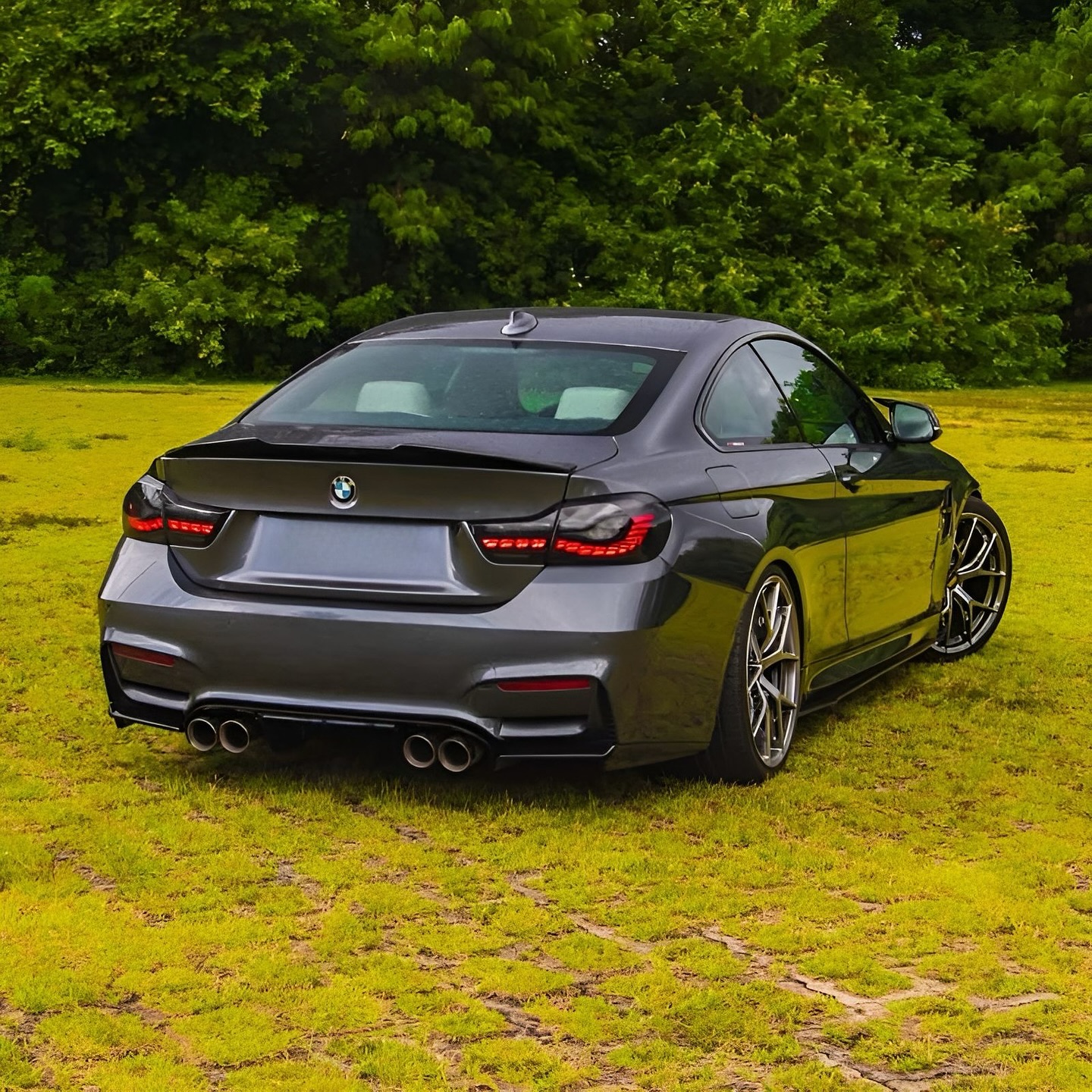 Imagem do Carro 5