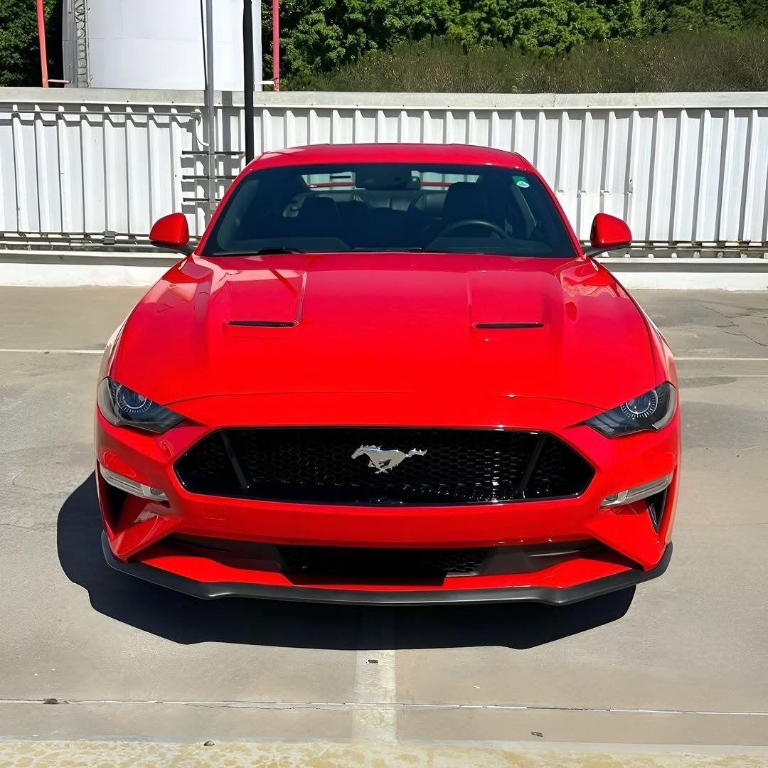 Imagem do Carro 6