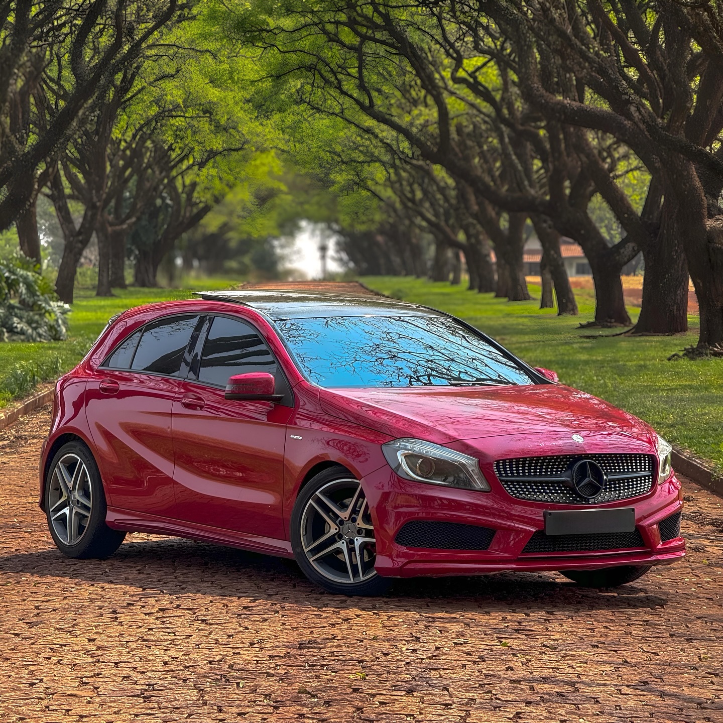 Imagem do Carro 5