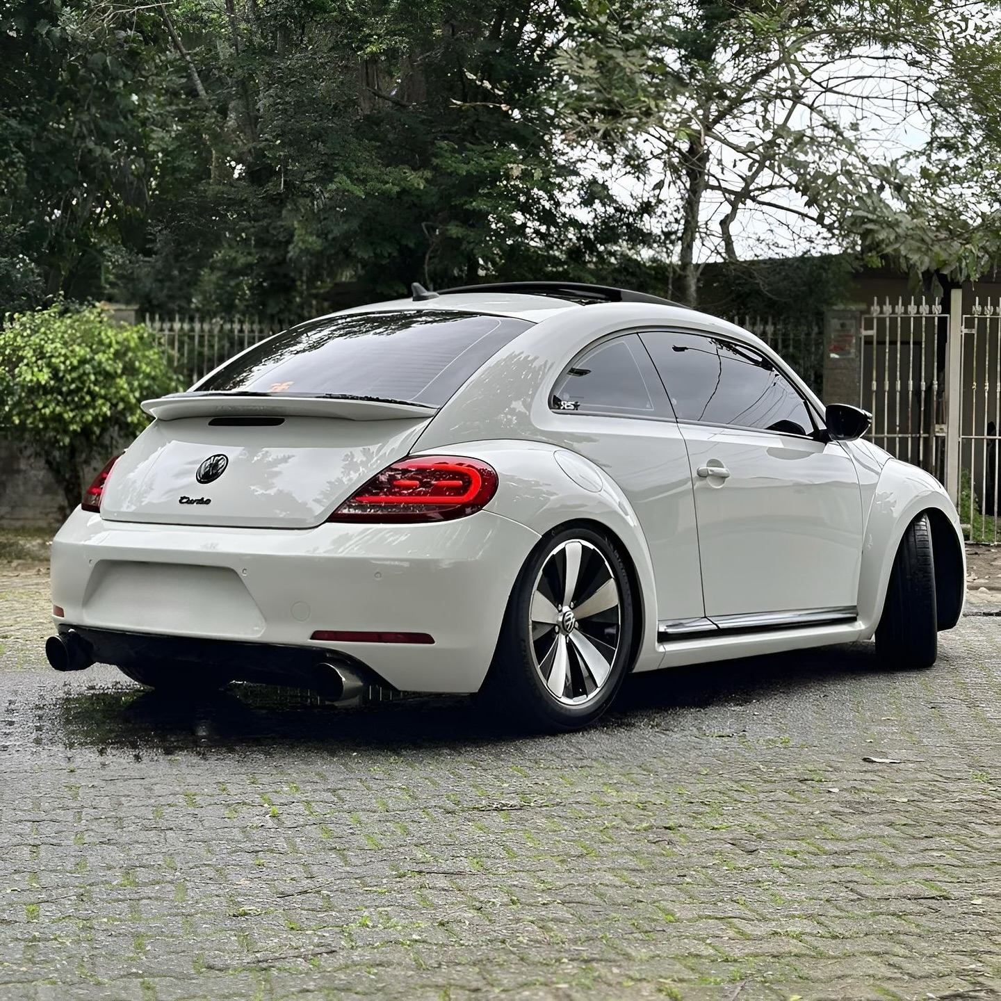Imagem do Carro 5