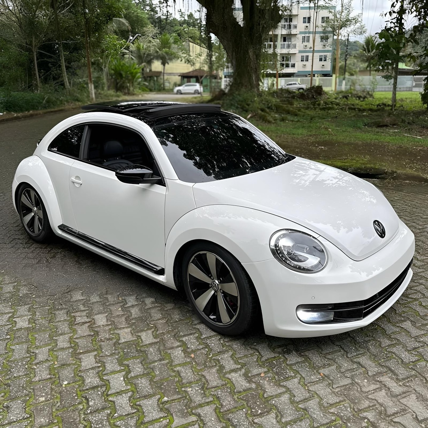 Imagem do Carro 7