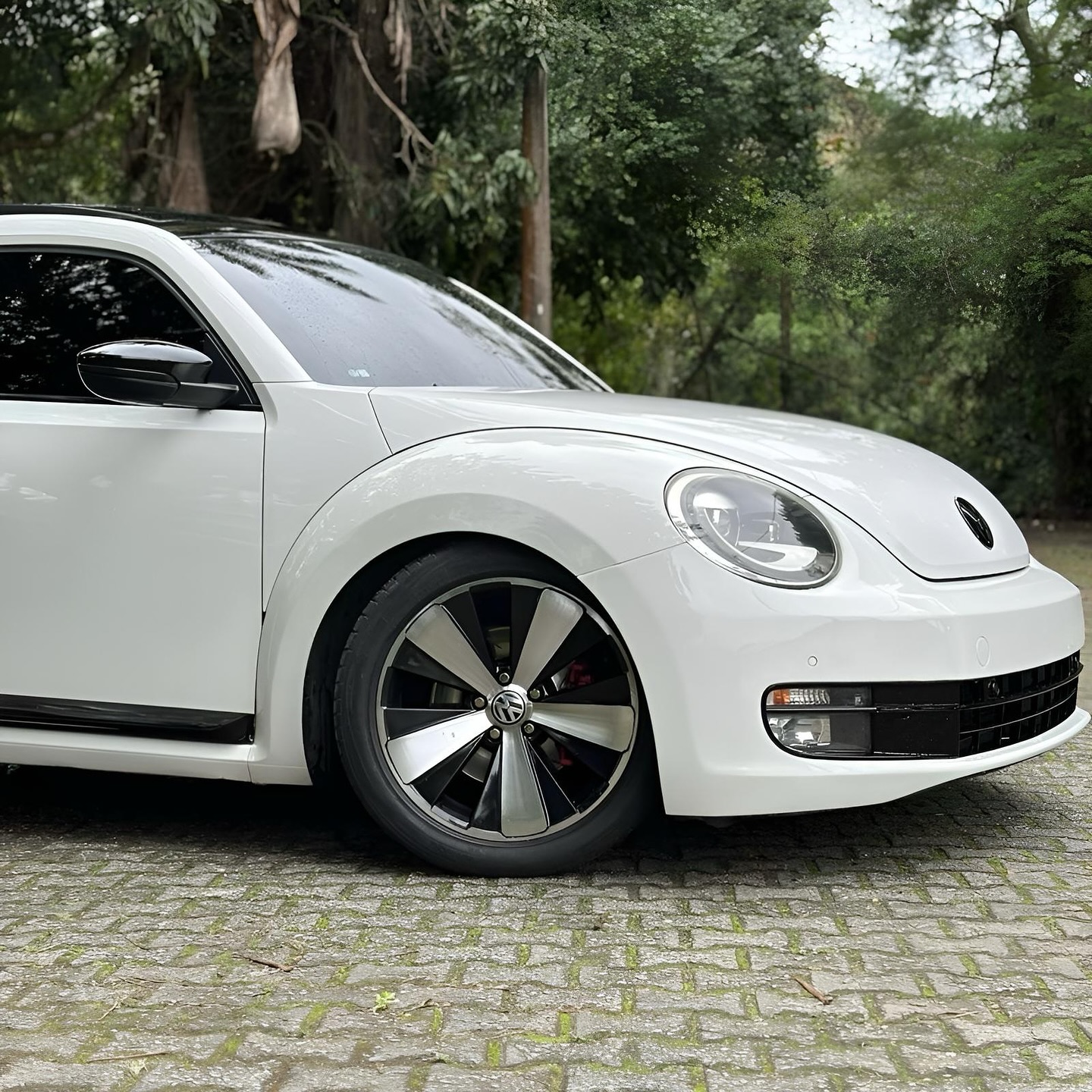 Imagem do Carro 8